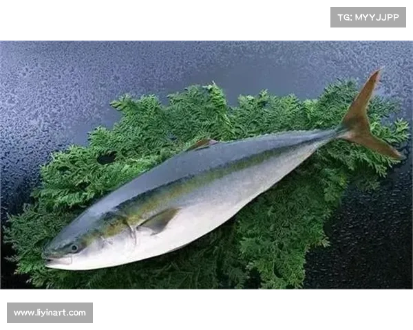 冰鳞蓝鱼为何成为深海生物中的无价珍宝及其独特价值解析 冰鳞蓝鱼为何成为深海生物中的无价珍宝及其独特价值解析